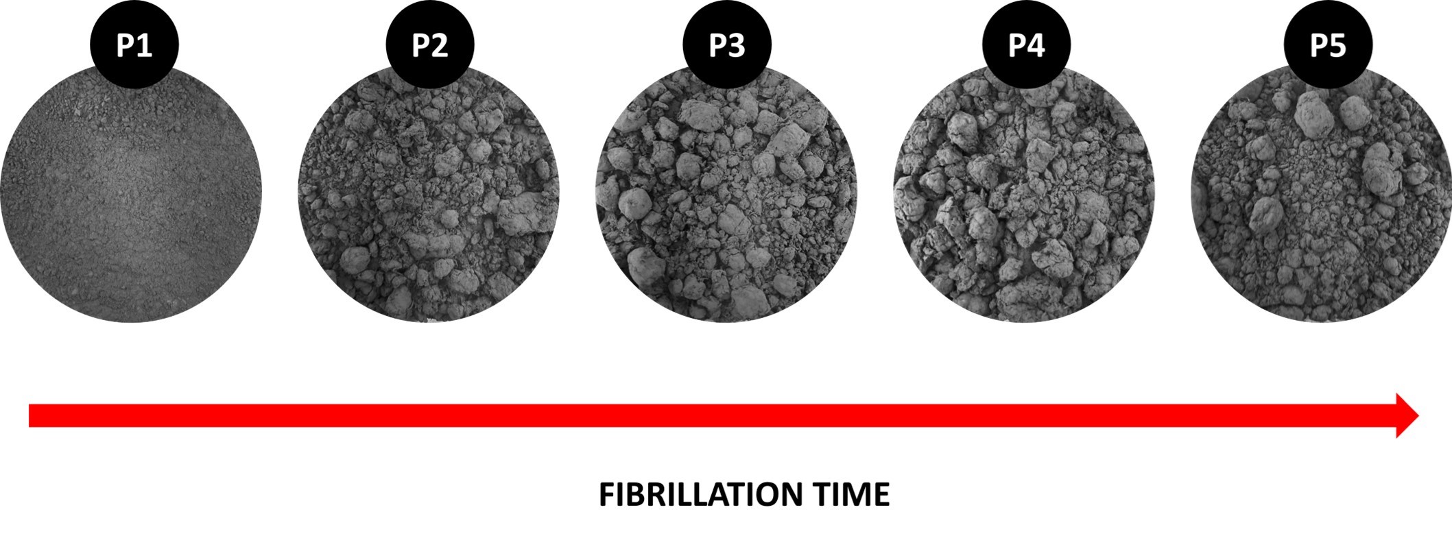 Photos of the powder samples from the lowest fibrillation time to the largest